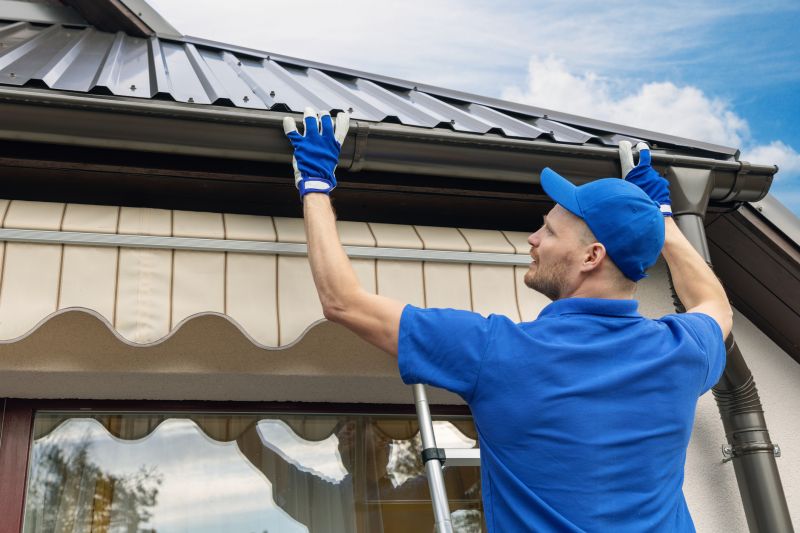 Gutter cleaning and maintenance