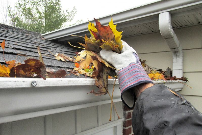 Best Seasons for Gutter Service