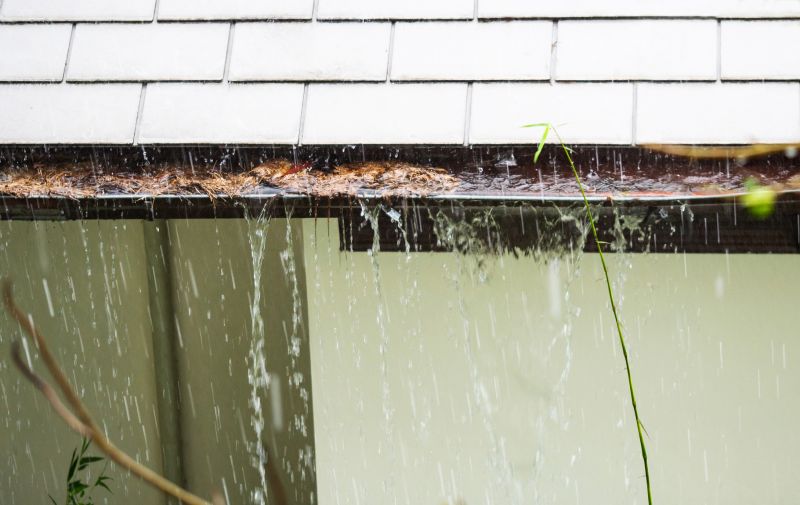Signs You Need Gutter Service